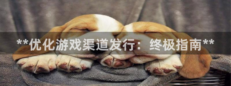 新城平台代理注册公司：**优化游戏渠道发行：终极指南**