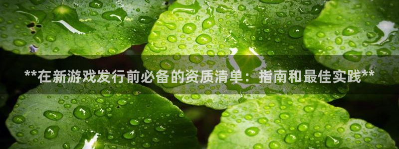 新城平台线路检测中心：**在新游戏发行前必备的资质清单：指南和最佳实践**