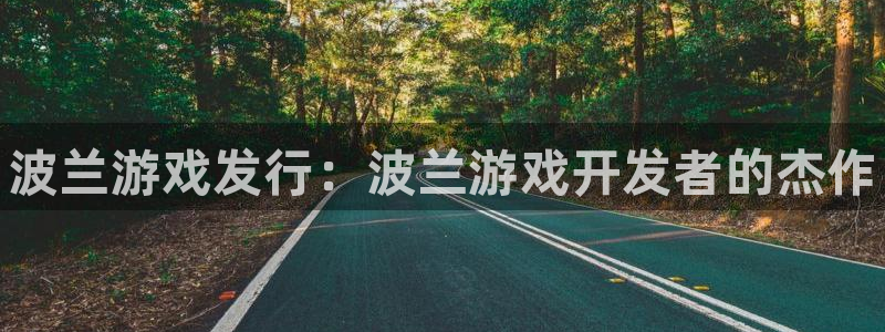 新城平台登录入口官网：波兰游戏发行：波兰游戏开发者的杰作