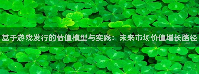 新城平台代理注册公司：基于游戏发行的估值模型与实践：未来市场价值增长路径