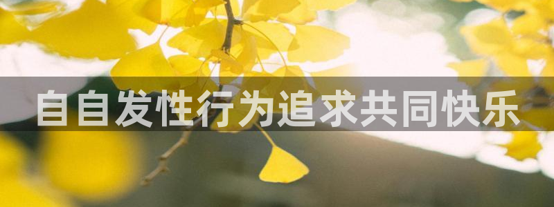 新城平台公司：自自发性行为追求共同快乐