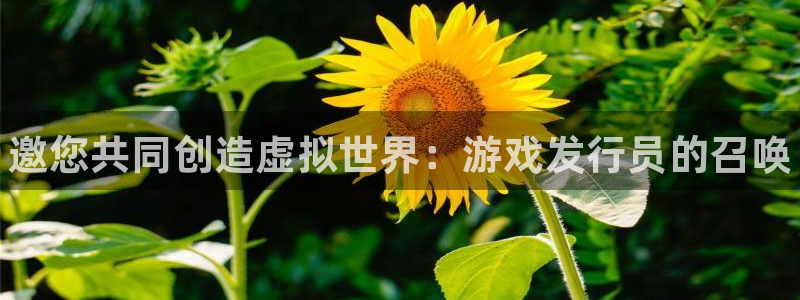 新城平台代理：邀您共同创造虚拟世界：游戏发行员的召唤