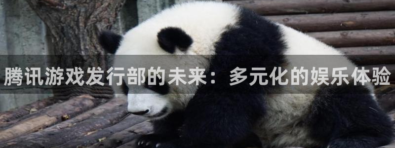 新城平台注册资金多少亿