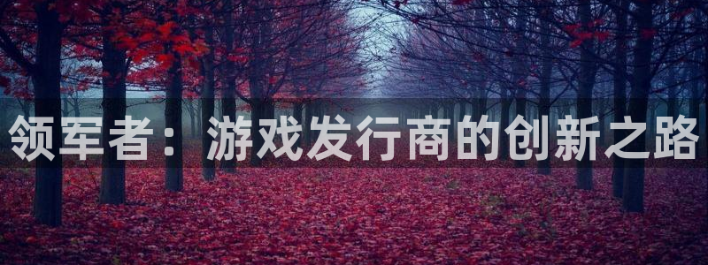 新城平台授权注册：领军者：游戏发行商的创新之路