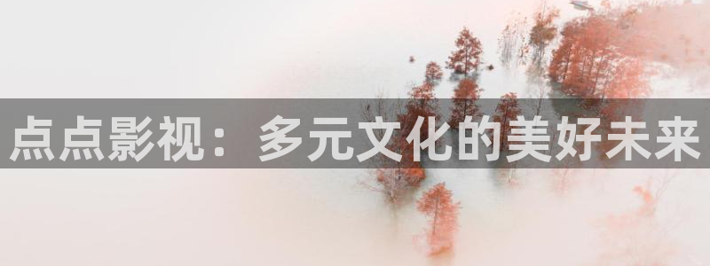 三妹影院在线观看：点点影视：多元文化的美好未来
